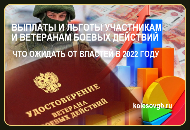 Новый закон о ветеранах боевых действий: