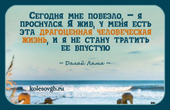 Постановлением Правления Пенсионного фонда РФ от 11.12.2014 N 493п утверждены 4 Формы сведений о состоянии индивидуального лицевого счета застрахованного лица, в которых содержатся