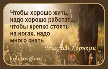 Как и любое иное наследство, оружие наследуется по закону или по завещанию. При этом существуют определенные ограничения: